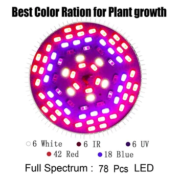 5730 żarówka kulka E27 pełną gamę Led Grow Light 8 w 10 W 30 W 50 W 80 W czerwony niebieski lampa led do hydroponiki kwiaty, rośliny, warzywa