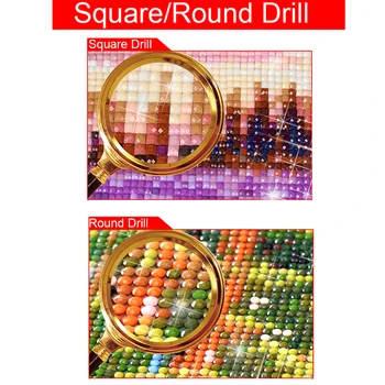 5D DIY Diamond embroidery Cross stitch Flowers Full Square/Round Diamond mosaic Diamond painting decoration HYY