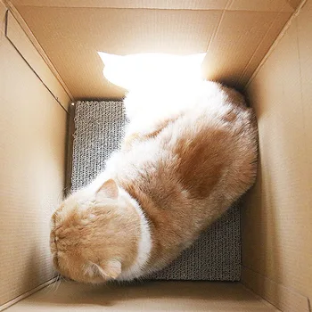 Cute Cat Drapaczka House Pet Dog Claw Scratching Board Bed Japanese Korean Milk Car karton Cat Bed with Catnip Pet Supply