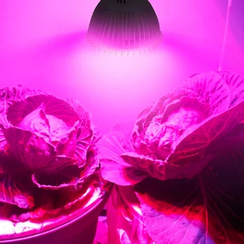 E27/E14/GU10 SMD 8W żarówka 18 led Plant growth lamp Red Blue Led Growing Lamp do hydroponiki kwiaty, rośliny, warzywa
