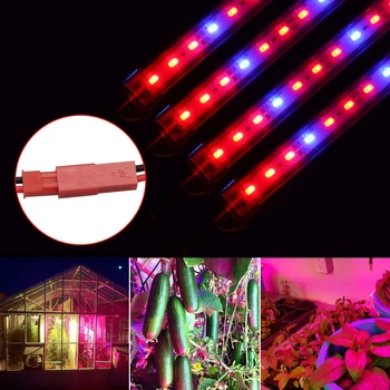 LED Grow Light DC12V 5730 SMD LED 50cm Bar Plant Lamp 36LEDs czerwony niebieski światło do akwarium kryty Тепличный namiot crop