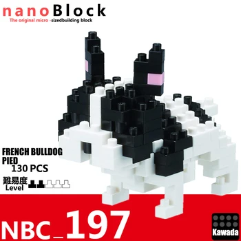 Nanoblock buldog francuski Pied Mini Bricks Puzzle NBC197 130Pieces Diamond Creative Building Toy For Children Kolekcje