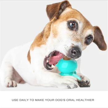 Zwierzę molowa różdżka pies zabawka gumy do żucia piłkę czyszczenie zębów różdżka jedzenie przekąski psa do żucia zabawki, karma dla psów