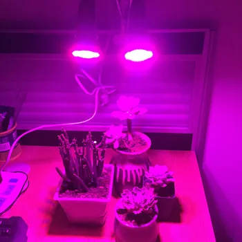 Dual Head 72 LED flower Plant Grow Light Lamp growth E27 tenis zacisk uchwyt do warzyw zadaszonym szklarnie Hydro Veg