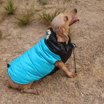 Lovoyager Rosyjski styl pet kamizelka miękkie ciepłe szczeniak kurtka niebieski pies płaszcz zimowy dla małych psów ubrania XS/S/M/ML/XL/XXL