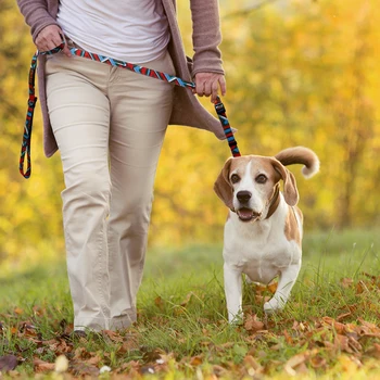 Nylonowy Smycz Dla Psów Lead Printed Pet Walking Running Training Smycze Dla Psów Lina Dla Małych Średnich I Dużych Psów Trwałe 4 Kolory