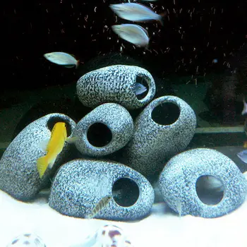 Opakowanie 5 Ryby Pielęgnice Rozmnażają Się Kamień Ukryty Kamień Jaskinia Akwarium