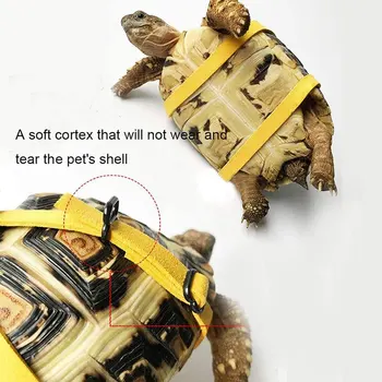 Regulowana sztuczna skóra zwierzę żółw Żółw gadów jaszczurka wiązka smycz pasek wiodący kontrolny cięgno trakcji, pasek do spacerów na świeżym powietrzu