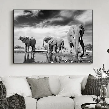 Afryka Dzika Natura Zwierzęta Słoń Płótnie Obrazy Czarno Białe Zwierzęta Plakaty I Reprodukcje Ścienne Obrazy Pokój Dzienny Wystrój Domu