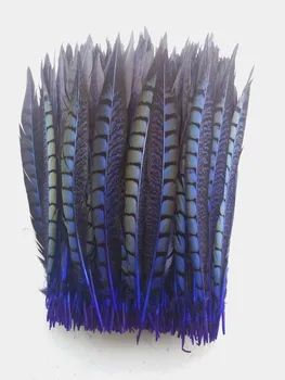 Darmowa wysyłka do sprzedania wysokiej jakości niebieski royal 50szt Lady Amherst bażant pióra, 9-11 