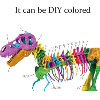 Modelowanie DIY 3D dinozaur model szkielet edukacyjne Dinosaurio biologia nauka zabawki montaż model działania zabawki figurki prezent