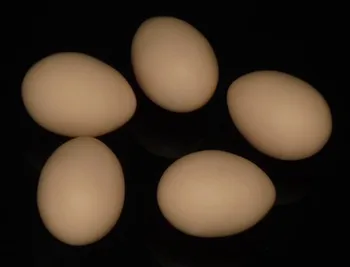 Super realistyczne silikonowe fałszywe jaja - czerwony/biały (1szt/etui) szaliki dla jaj sztuczki scena magowie sztuczka rekwizyty akcesoria komedia