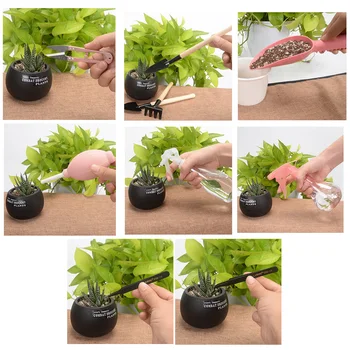 12pcs 16pcs DIY narzędzie siew strona Główna mini sadzonki przycinanie ogród sadzarka zestaw Суккулентная sadzenie przesadzanie bonsai podlewanie