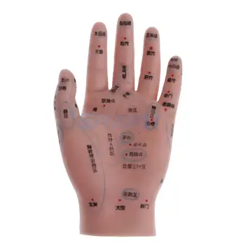 14 cm komunikat akupunktura ręka model refleksologia akupunktura szkoła badanie wyświetlacz
