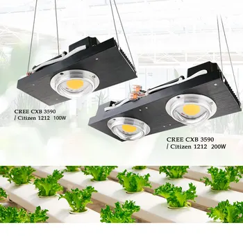 CREE CXB3590 100 W 200 W COB LED Grow Light pełną gamę wymienić HPS 200 W 400 W lampy do hydroponiki kryty szklarnia namiot fabryka