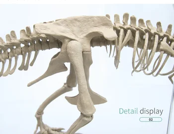 Modelowanie DIY 3D dinozaur model szkielet edukacyjne Dinosaurio biologia nauka zabawki montaż model działania zabawki figurki prezent