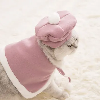 2 szt./kpl. dość kot odzież dla zwierząt domowych Garfield płaszcz berety słodkie grube zwierzęta koty kostiumy czapka