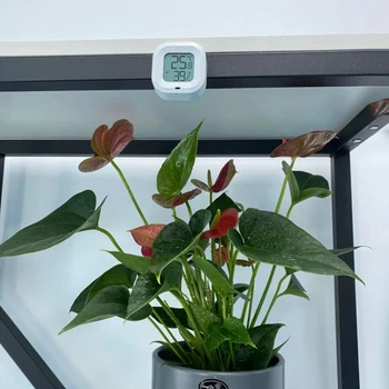 Inteligentny dom cyfrowy wyświetlacz LCD kryty wygodny czujnik temperatury miernik wilgotności termometr higrometr czujnik Sterowania przez Bluetooth