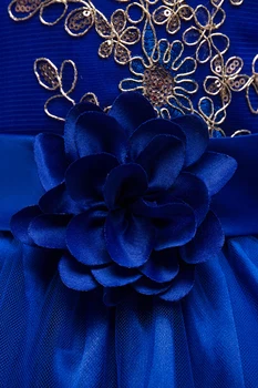 Royal Blue Flower Girl Long Dress 2020 Summer Gold Flower Belt Tulle Cekinami Kid Wedding Party Dress Sukienka Vestido Clothing